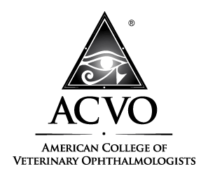 ACVO_Logo_forWeb